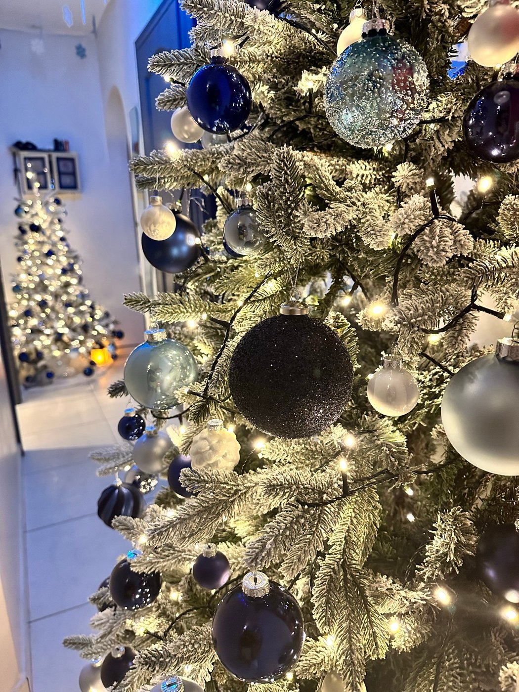 Décorations bleues sur les branches enneigées du couloir