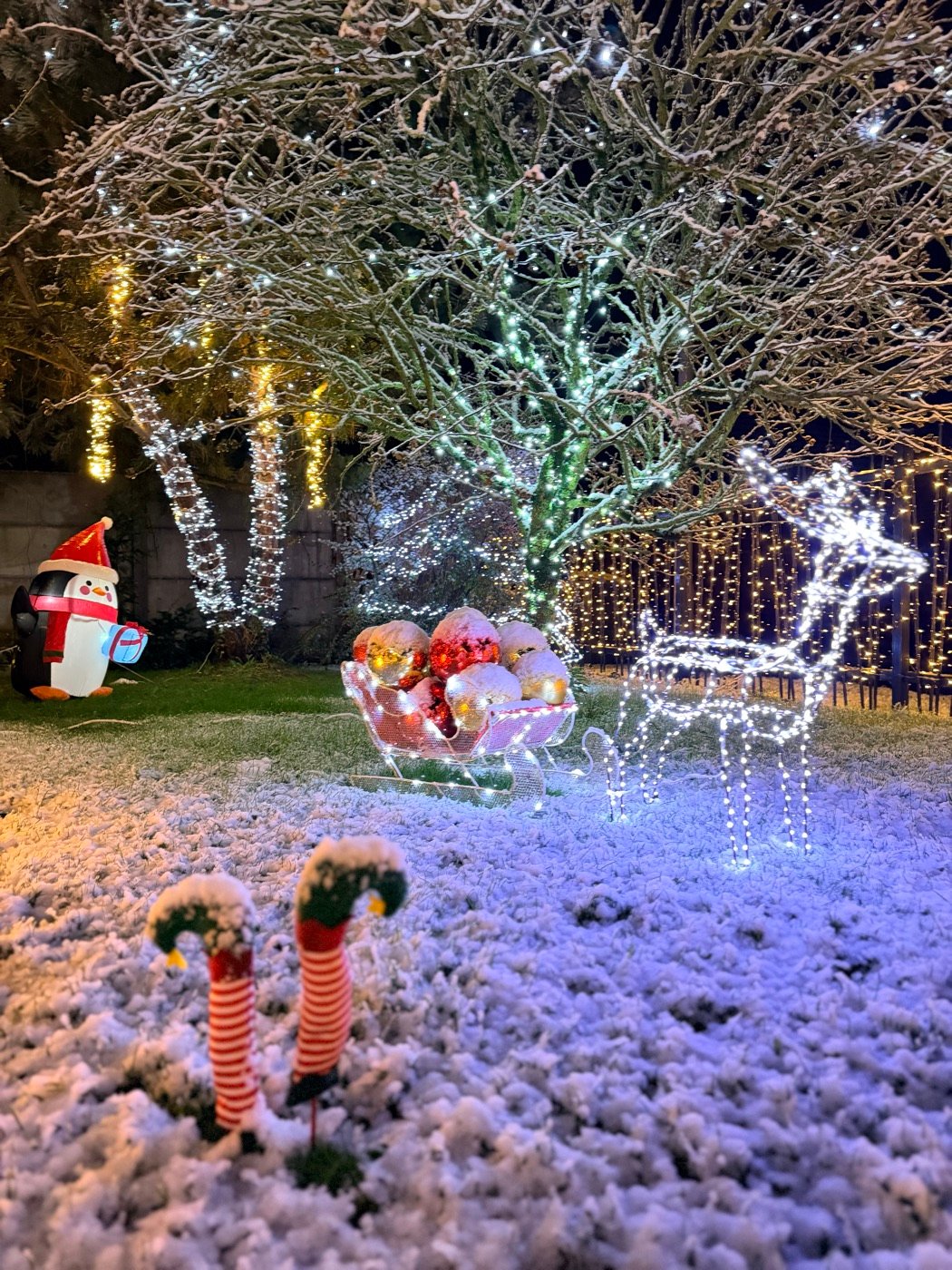 Décorations lumineuses dans le jardin enneigé