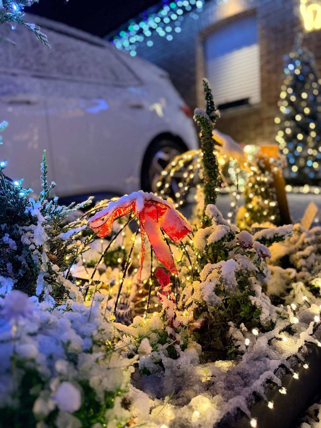 Détail d’une décoration de Noël dans le jardin