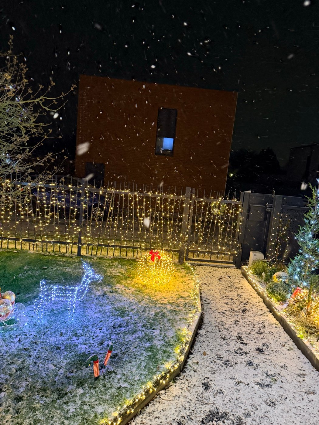 Le jardin décoré et illuminé sous la neige